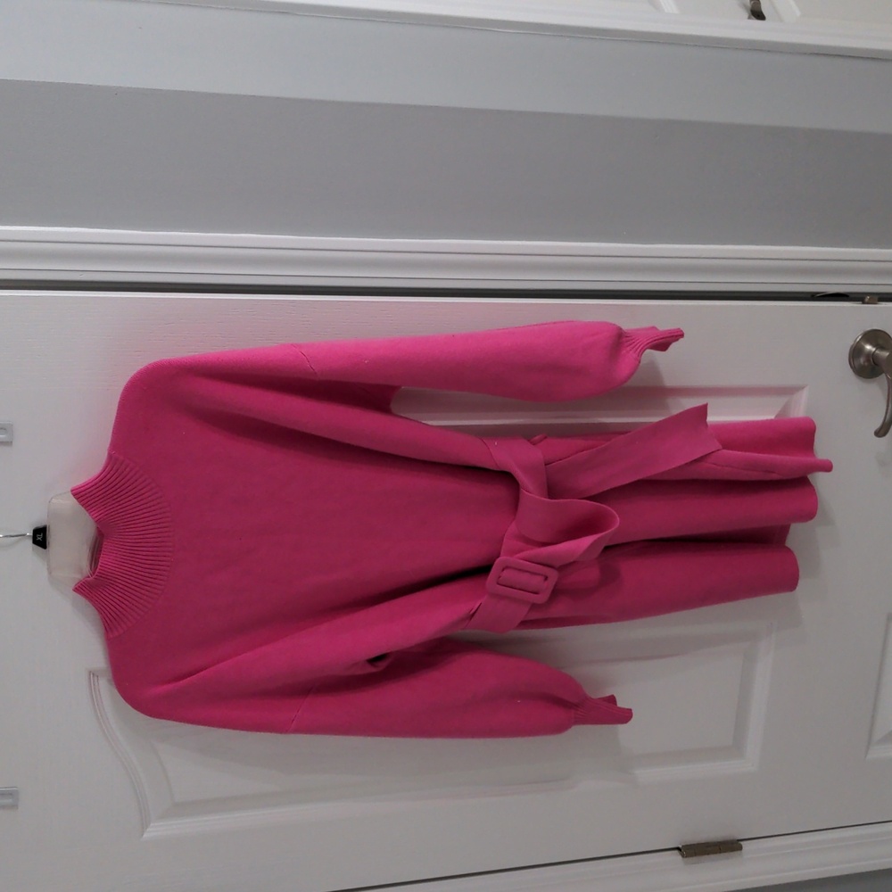 Fate Vibrant Pink Sweater Dress